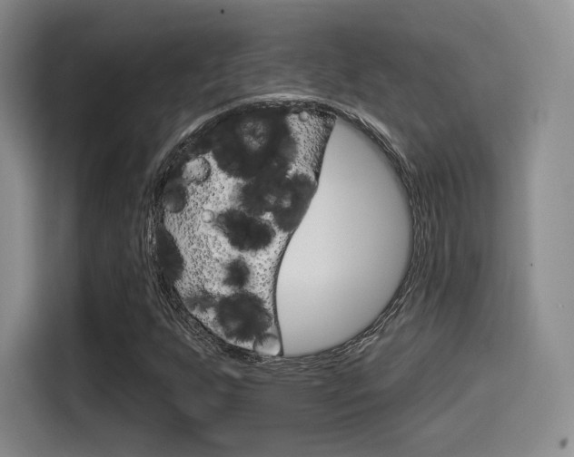X0000114491255200910191109