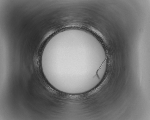 X0000114491258200910191109