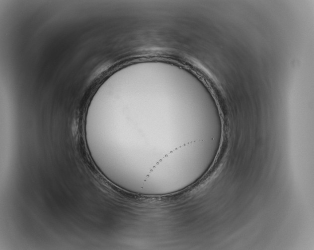 X0000114491259200910191109