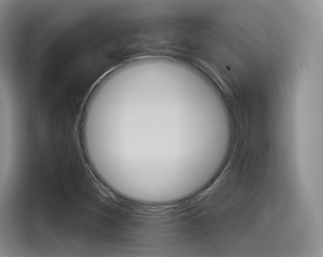 X0000114491260200910191109
