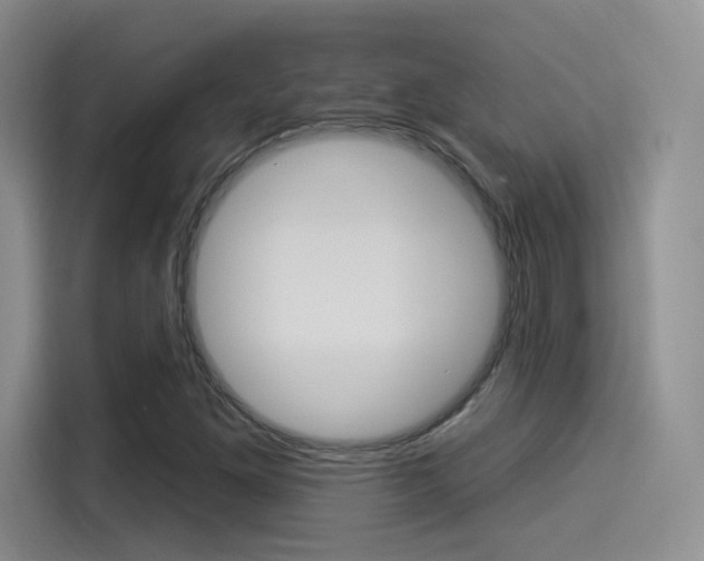 X0000114491261200910191109