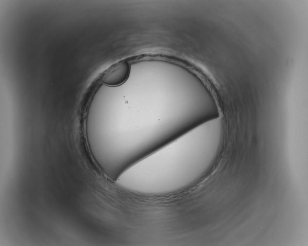 X0000114491263200910191109