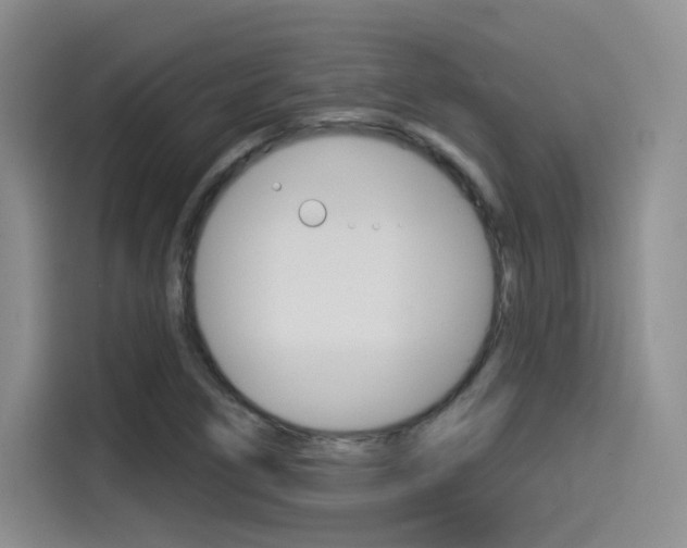 X0000114491266200910191109