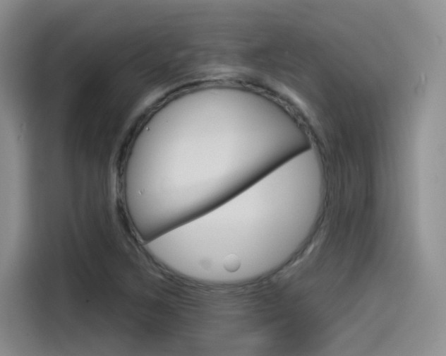 X0000114491267200910191109