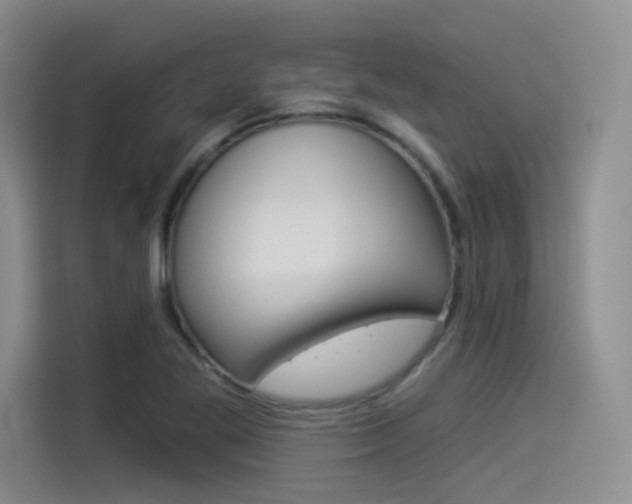 X0000114491269200910191109