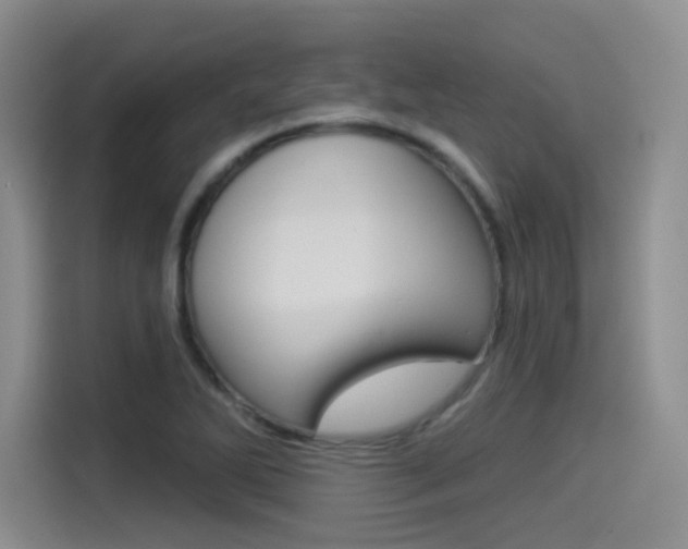 X0000114491270200910191109