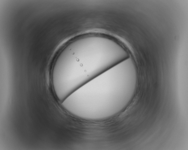 X0000114491271200910191109