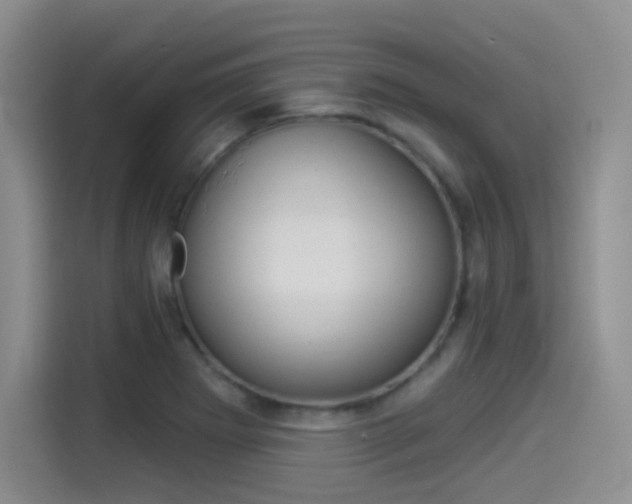 X0000114491273200910191109