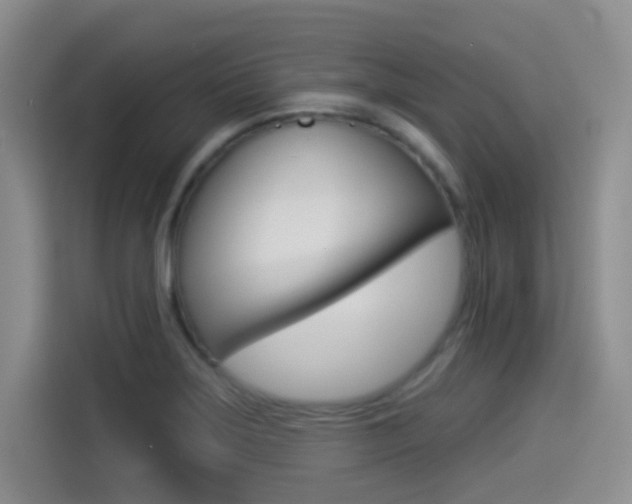 X0000114491275200910191109