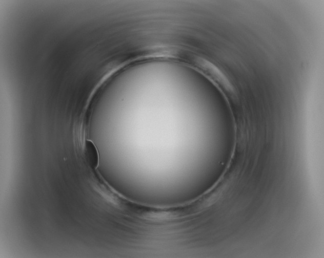 X0000114491276200910191109