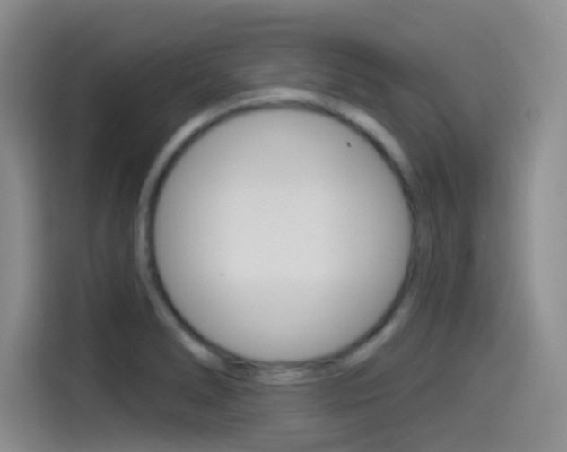 X0000114491278200910191109