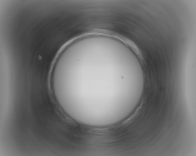X0000114491280200910191109