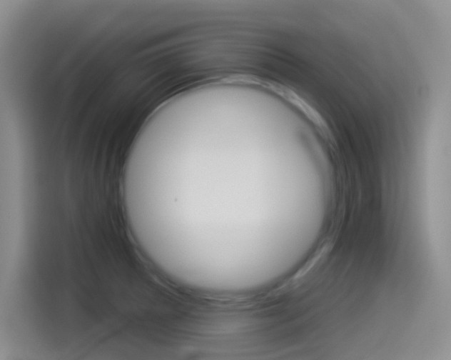 X0000114491281200910191109