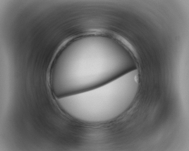 X0000114491283200910191109
