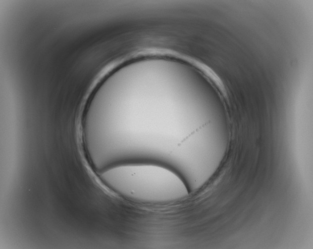X0000114491287200910191109