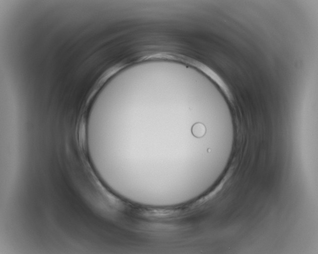 X0000114491290200910191109