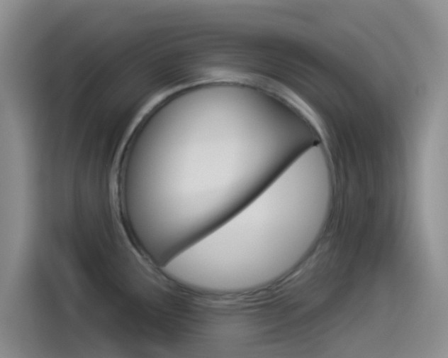 X0000114491291200910191109