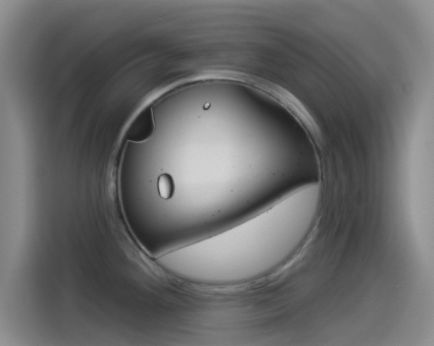 X0000114491292200910191109