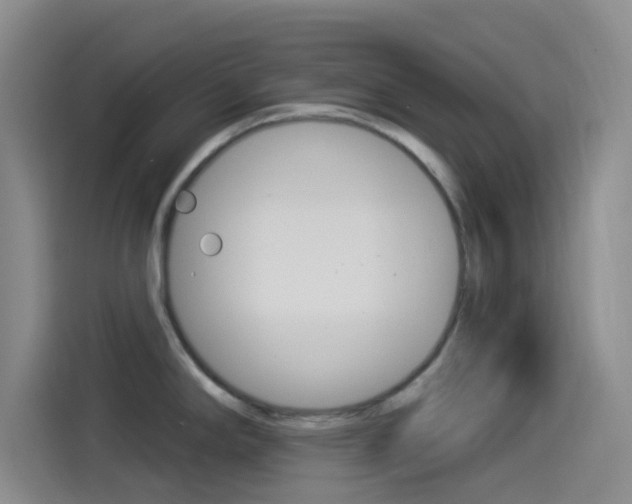 X0000114491294200910191109
