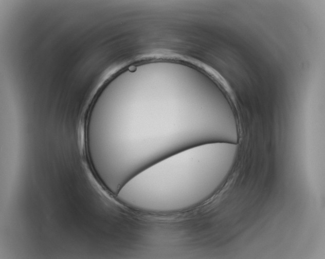 X0000114491295200910191109