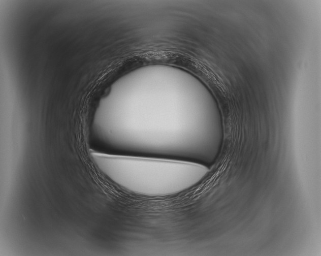 X0000114491297200910191108