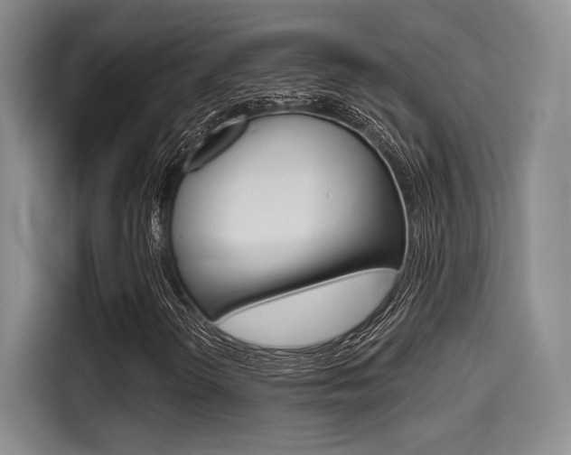 X0000114491298200910191108