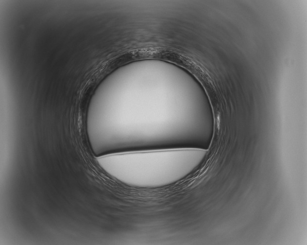 X0000114491299200910191108
