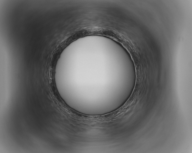 X0000114491301200910191108