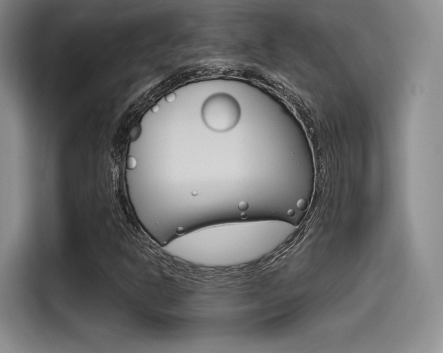 X0000114491302200910191108