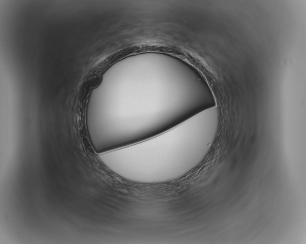 X0000114491303200910191108