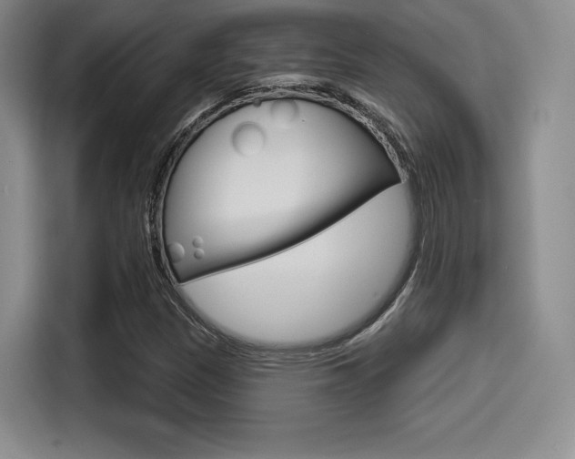 X0000114491305200910191108