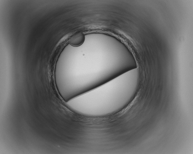 X0000114491306200910191108
