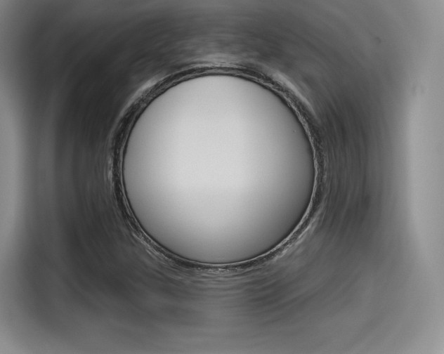 X0000114491307200910191108