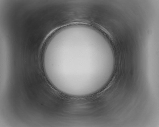 X0000114491310200910191108