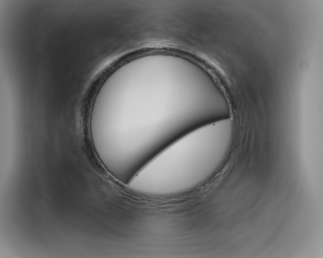X0000114491311200910191108