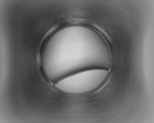 X0000114491317200910191109