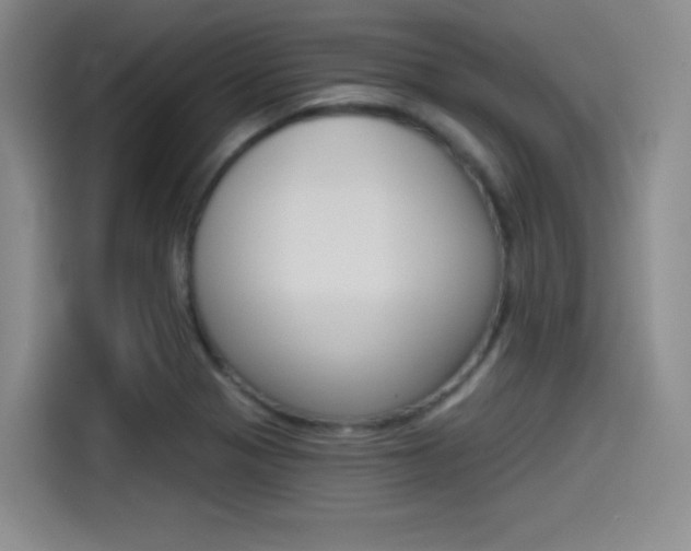 X0000114491321200910191109