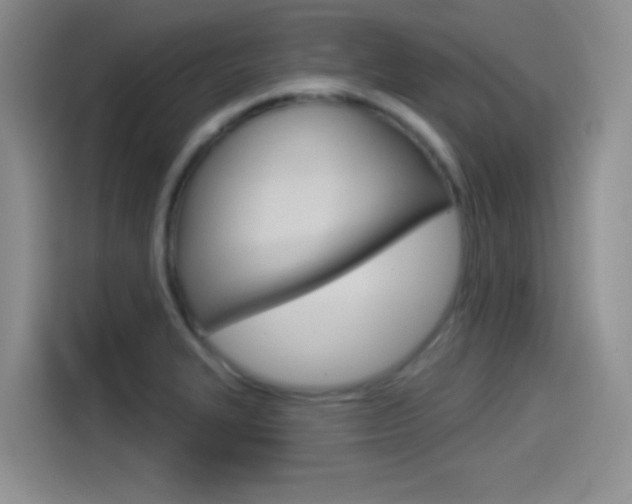 X0000114491327200910191109