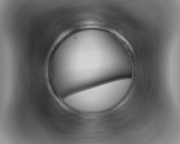 X0000114491333200910191109