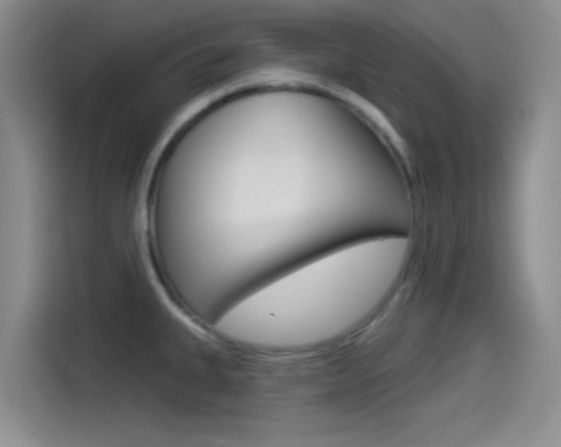 X0000114491335200910191109