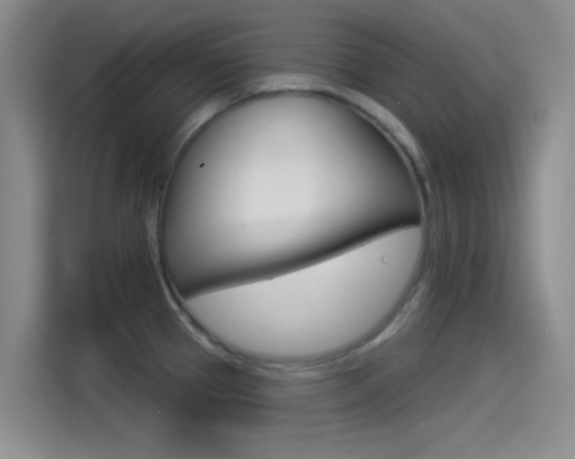 X0000114491337200910191109
