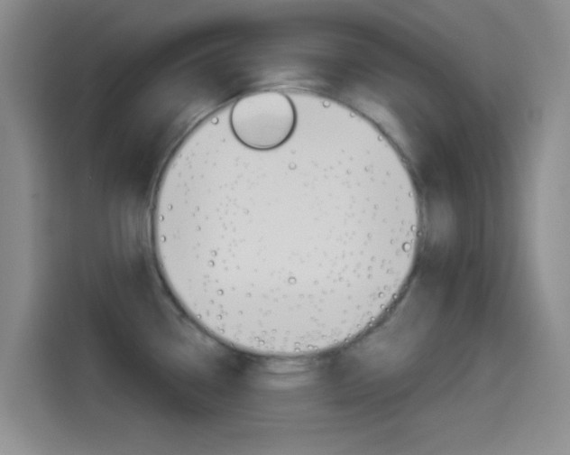 X0000114491338200910191109