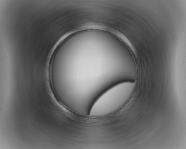 X0000114491339200910191109