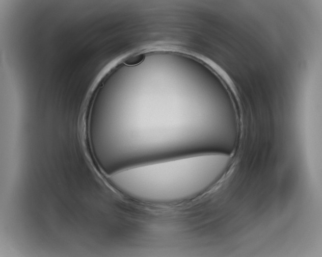 X0000114491341200910191109