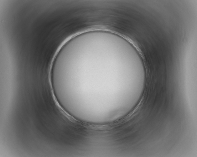 X0000114491342200910191109