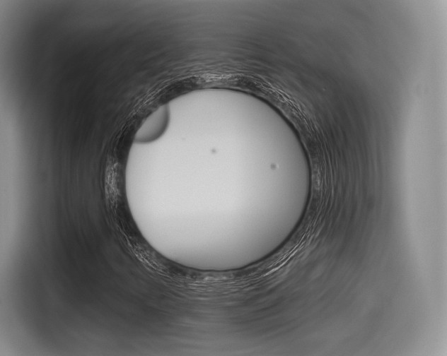X0000114491346200910191108