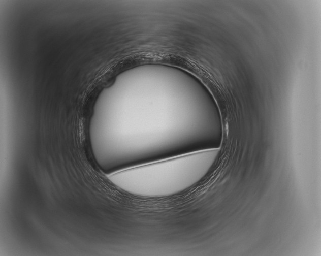 X0000114491347200910191108