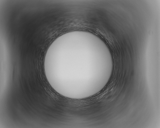 X0000114491348200910191108