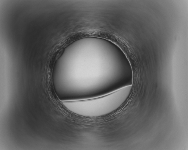 X0000114491349200910191108