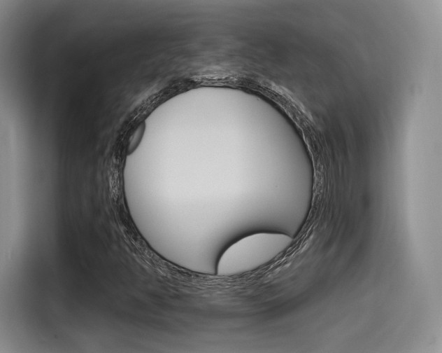 X0000114491350200910191108